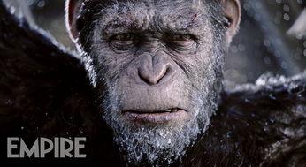 猩猿崛起3在线观看,命运之战在线观影指南：揭秘猿类新纪元的命运抉择  第2张